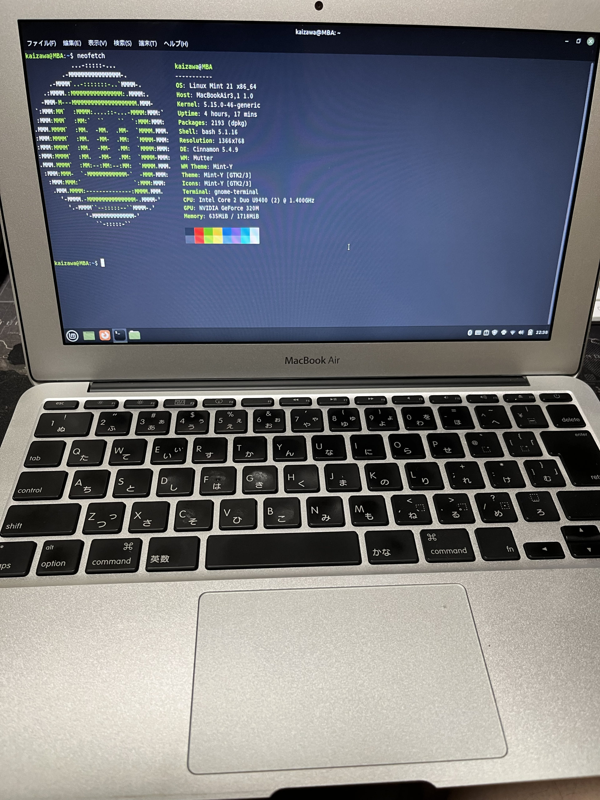 Linux Mint を MacBook Air(2010) にインストール